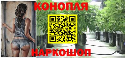 молекула духа Славянск-на-Кубани