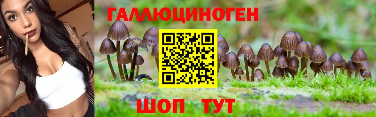 Псилоцибиновые грибы Cubensis Сарапул